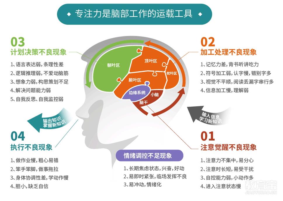 多特儿童专注力